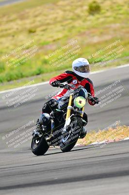 media/Apr-13-2024-Classic Track Day (Sat) [[9dd147332a]]/Group 3/Session 3 (Turn 3)/